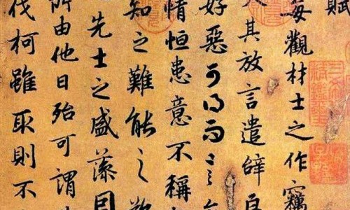 大象皮有什么药用价值呢-大象皮有什么药用价值网 - 为你提供大象皮有药用价值吗、大象皮药用价值有哪些