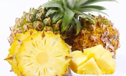 大象皮有什么药用价值网 - 为你提供大象皮有药用价值吗、大象皮药用价值有哪些
